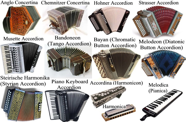 Akkordica allows you to reproduce many different accordion types (diatonic and chromatic) for various genres of musical styles such as Folk, Rock, Blues, Jazz, Polka, Bal-musette, Cajun, Zydeco, Classical, Schrammelmusik, Klezmer, Levenslied, Sevdalinka, Boeremusiek, Forr, Merengue, Cueca, Milonga, Chamam, Cumbia, Vallenato, Norteo, Tex-Mex, Saltarello, Tarantella, Ceol and Inuit music.