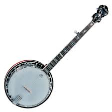 The banjo is a four-, five- or (occasionally) six-stringed instrument with a thin membrane stretched over a frame or cavity as a resonator, called the head. The membrane, or head, is typically a piece of animal skin or plastic, and the frame is typically circular. Early forms of the instrument were fashioned by Africans in America, adapted from African instruments of similar design.