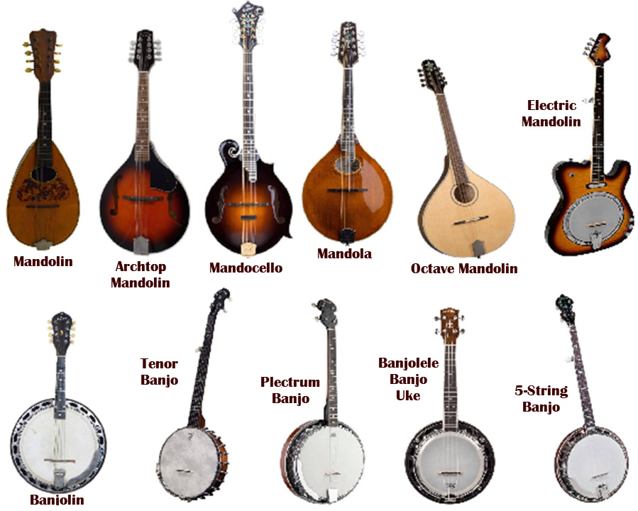 stringed instruments list