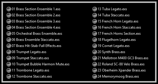 Aeternus Brass has been formatted to Emagic EXS-24 instruments called .EXS files (in the case that you use Emagic's virtual sampler provided by Logic) or .NKI files (in the case that you uses the Native Instruments Kontakt player). They're adapted versions and formatted for Mac users only, and contains the main source sounds of Master Hammond B3 v2.1.1 meticulously tuned and adjusted.